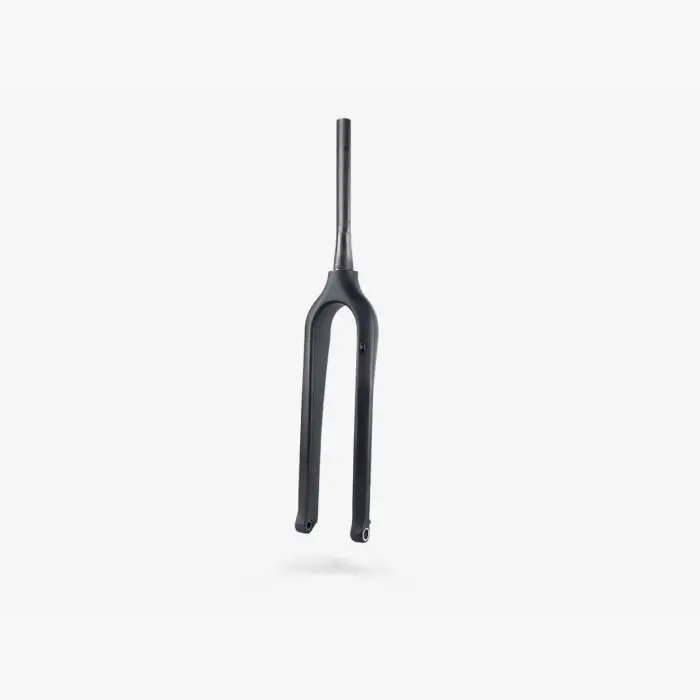 Possible Carbon Fork - E-Bike