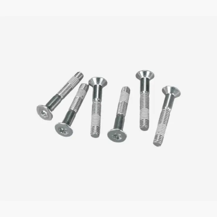 Rohloff - Axle-plate Torx screws (6 pcs.) (8236)