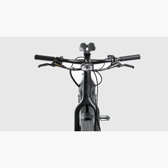 Booda Bike Forc-E pedelec ebike, belt driven 