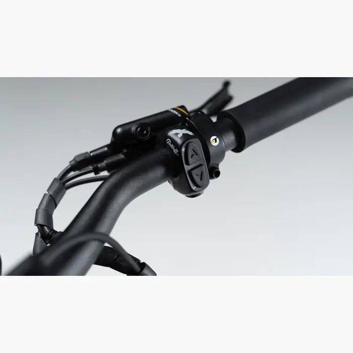 Booda Bike Forc-E pedelec ebike, belt driven 
