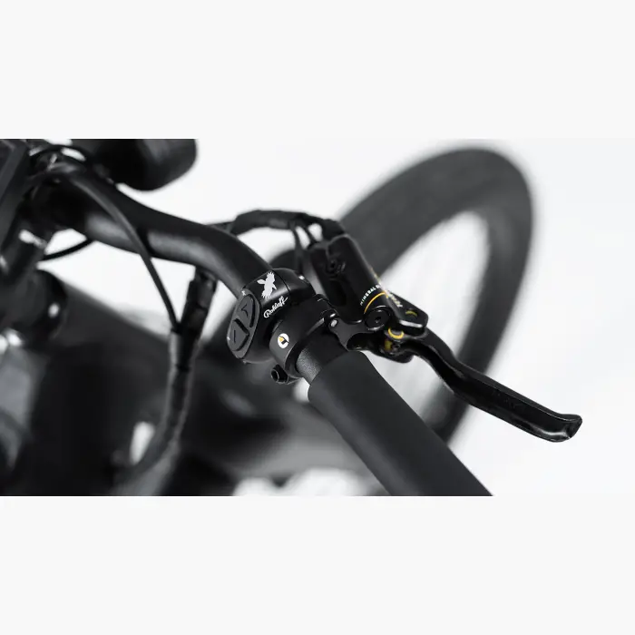 Booda Bike Forc-E pedelec ebike, belt driven 