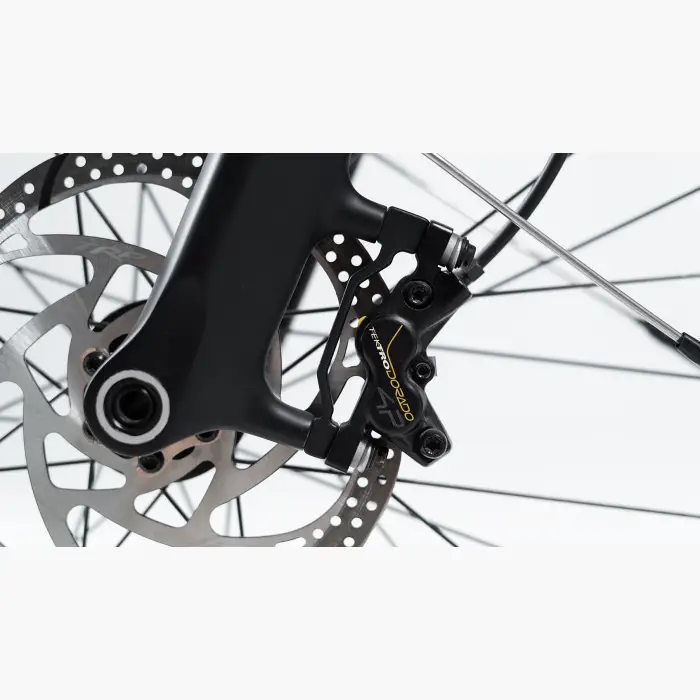 Booda Bike Forc-E pedelec ebike, belt driven 