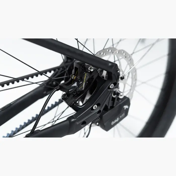 Booda Bike Forc-E pedelec ebike, belt driven 