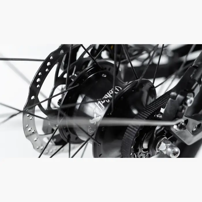 Booda Bike Forc-E pedelec ebike, belt driven 