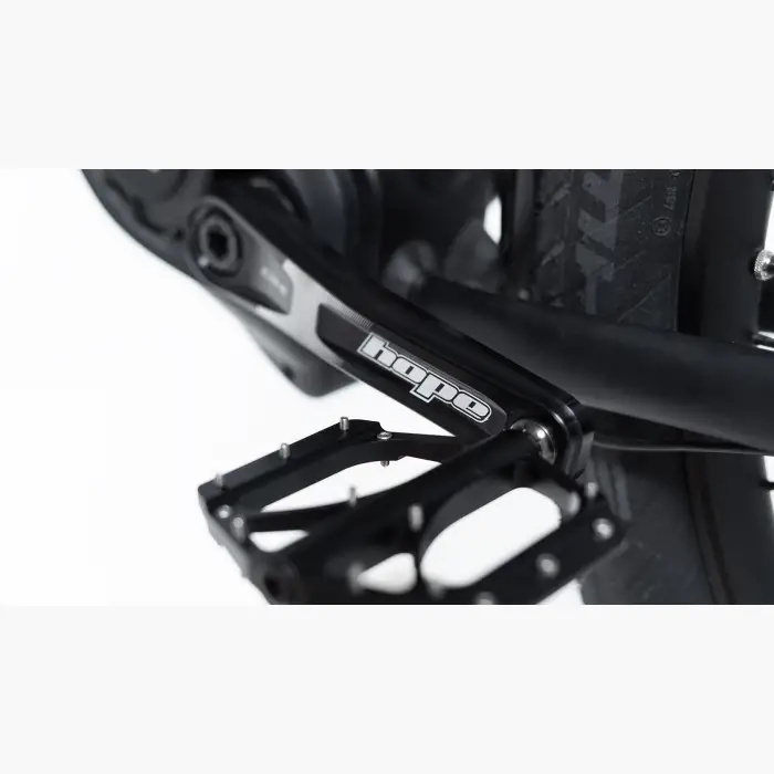 Booda Bike Forc-E pedelec ebike, belt driven 