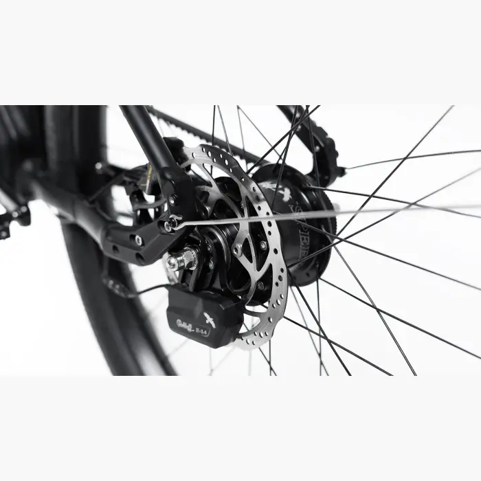 Booda Bike Forc-E pedelec ebike, belt driven 