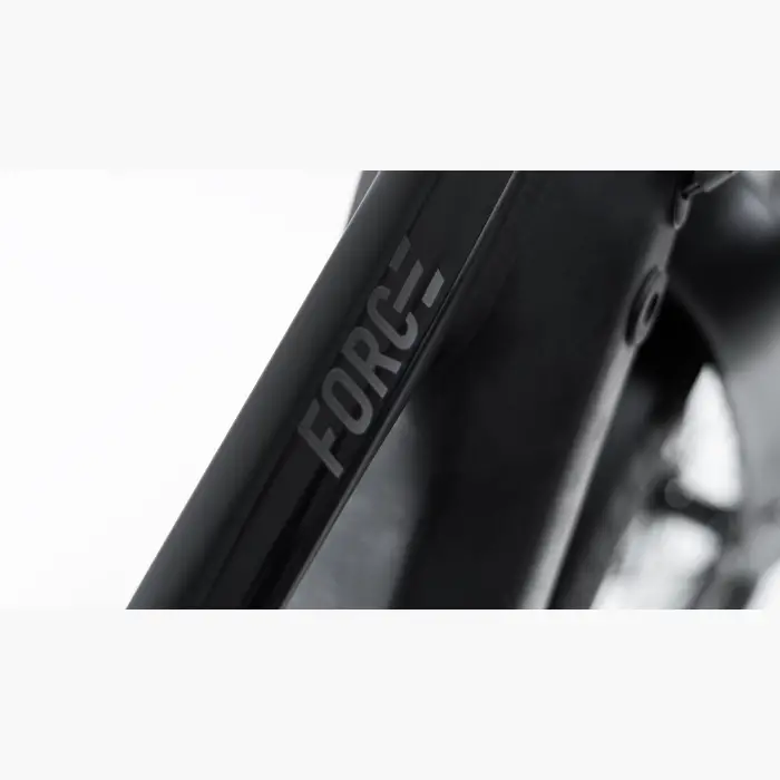 Booda Bike Forc-E pedelec ebike, belt driven 