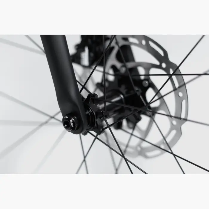 Booda_Bike_Atlas_Front_straightpull_hub_possi