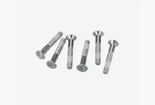 Rohloff - Axle-plate Torx screws (6 pcs.) (8236)