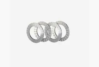 Rohloff - Nord-lock® washers (4x) (8574)