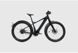 Booda Bike - Forc-e (Rohloff E-14 E-bike)