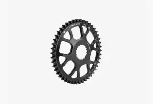 Gates direct mount sprocket - Alfine beltline? - 46T